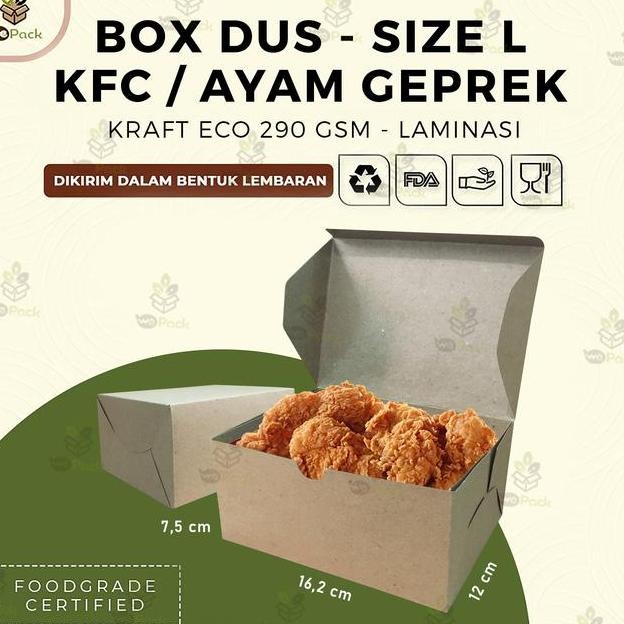 Sna Kue Box Dus Sna Nasi Ayam Kfc Kraft Size L
