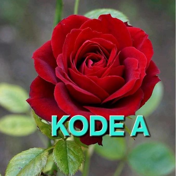 Promo Gamis batik dan daster batik  koleksi terbaru dan terkece Rayon premium  Dress Midi Wanita Rem