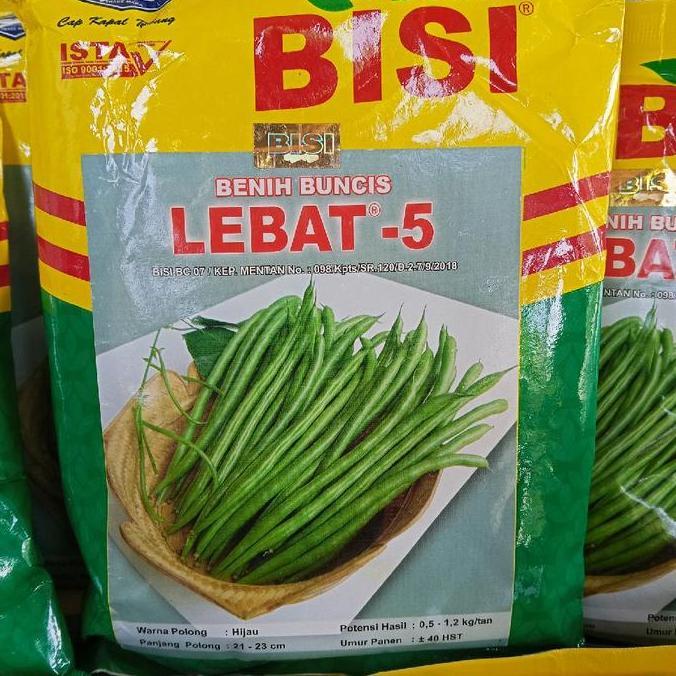 Benih Buncis Lebat - 5 500 Gram - Cap Kapal Terbang
