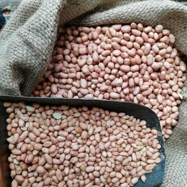 Foolix- Kacang Tanah Mentah Super 1 Kg, Kacang Tanah Jumbo Random, Kacang Suuk