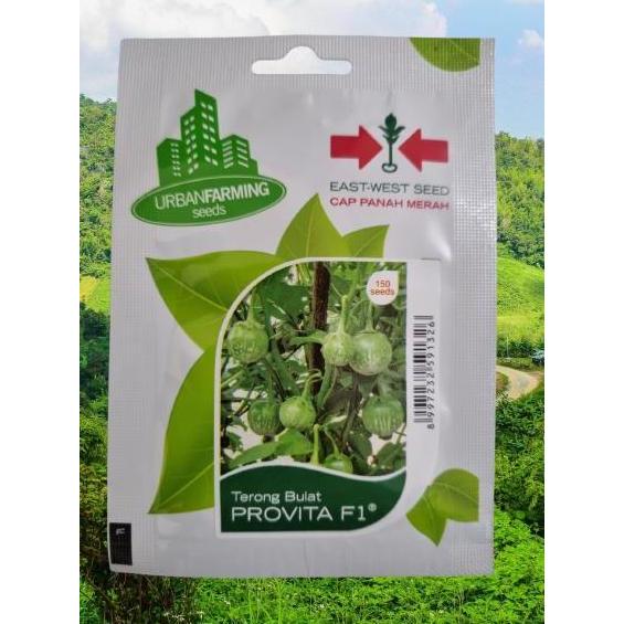 Promo Benih Terong Bulat Hijau Hibrida Provita F1 Cod