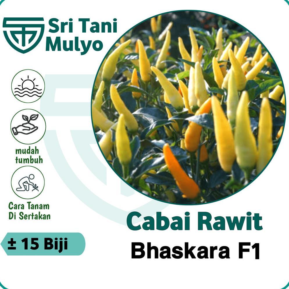 15 Biji - Benih Cabai Rawit Unggul BHASKARA F1 - Cap BISI - Bibit Sayuran Benih Sayuran Cabai Rawit 