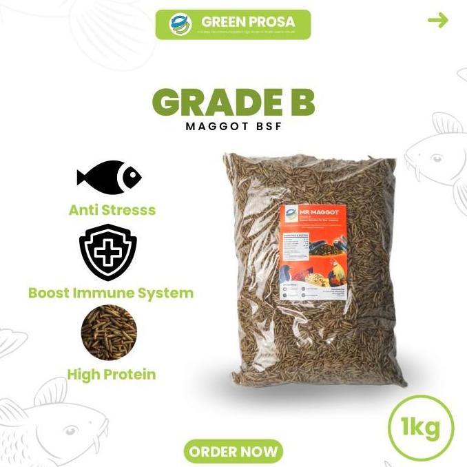 MR MAGGOT - MAGGOT MAGOT KERING BSF 1KG GRADE B NUTRISI SAMA