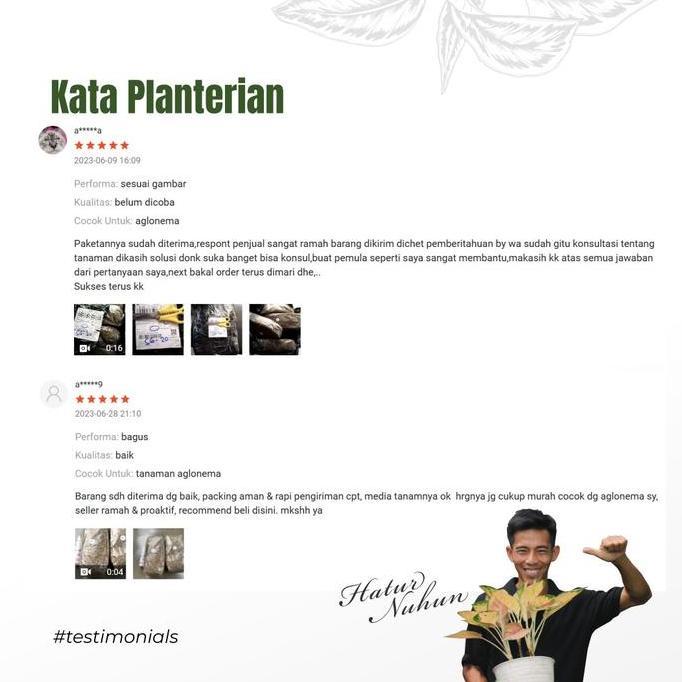 Yard- Media Tanam Aglonema Fermentasi Media Tanam 2,5Kg By Planteria Tanah Tanaman