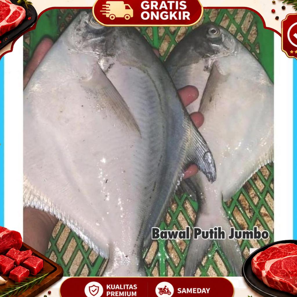 Ikan Bawal Putih Besar 1Kg - Bawal Laut Segar