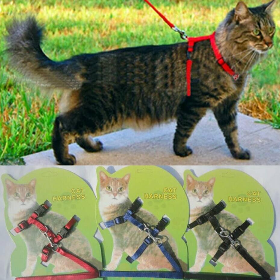 harness hernes rompi leash tali kucing musang Diskon