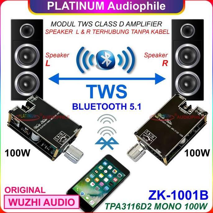 Tpa3116 Amplifier Class D 100W Tws Bluetooth 5.1 Tpa3116D2 Zk-1001B