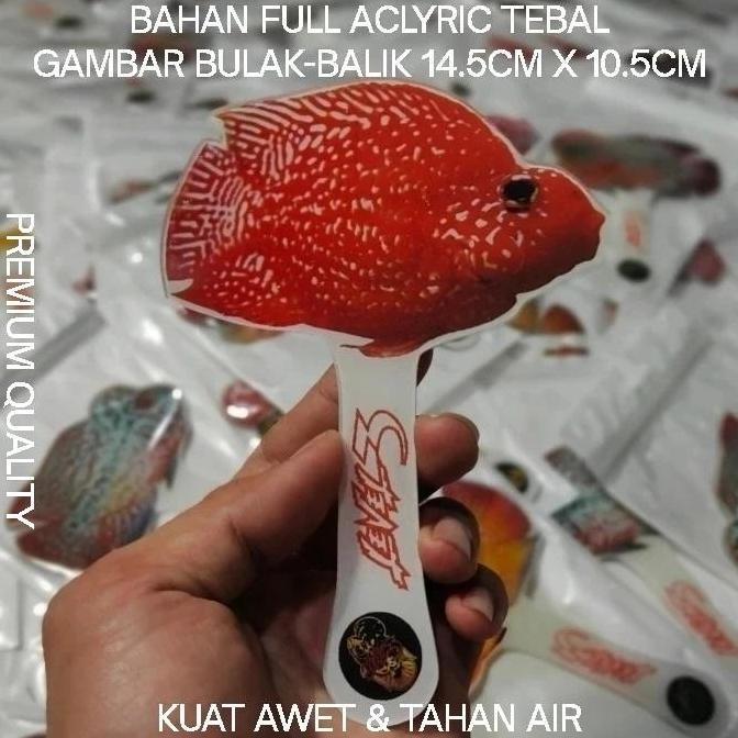 Fisher- Yang Louhan Untulan Ikan Parrot Acliric Tebal Besar