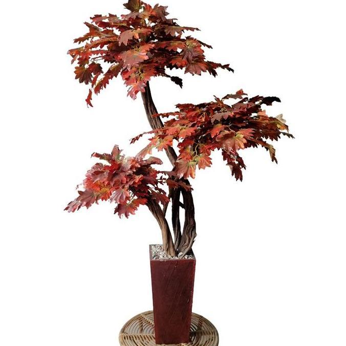 [TERBARU] pohon maple artificial - pohon maple tinggi 170 cm - pohon maple coklat