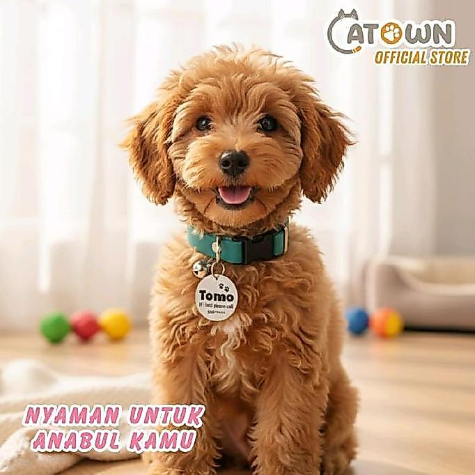 Catown Kalung Anjing Kecil Custom Nama Medium & Kucing Besar Adjustable 34cm Super Ringan dengan Lon