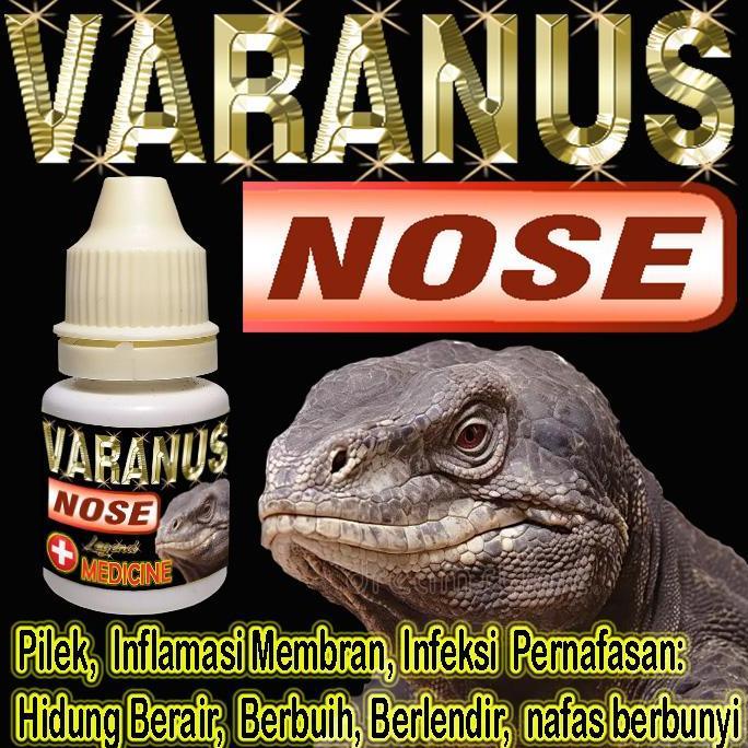 VARANUS NOSE OBAT PILEK REPTILE KADAL MENYEMBUHKAN HIDUNG VARANNUS BERBUIH BERLENDIR BERAIR MENGOBAT