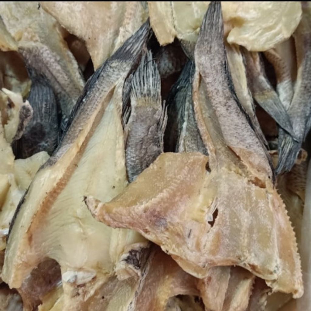 ikan gabus rawa asin kering