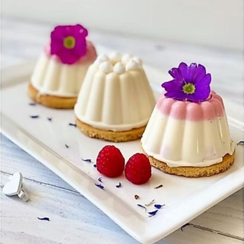 Cetakan Puding Plastik Jelly Coklat GreenLeaf 0951 Cetakan Agar