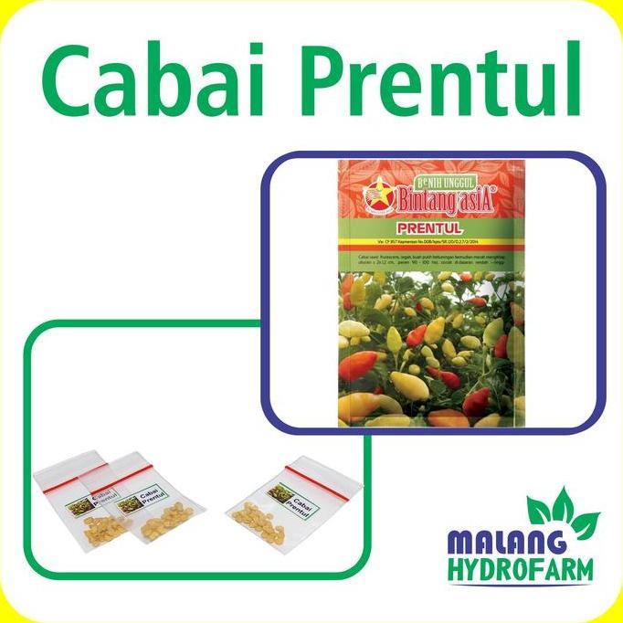 Benih Cabai Rawit Prentul Repack Bintang Asia Biji Bibit Cabe Pedas Pedes Hydroponik Hidroponik Sayu