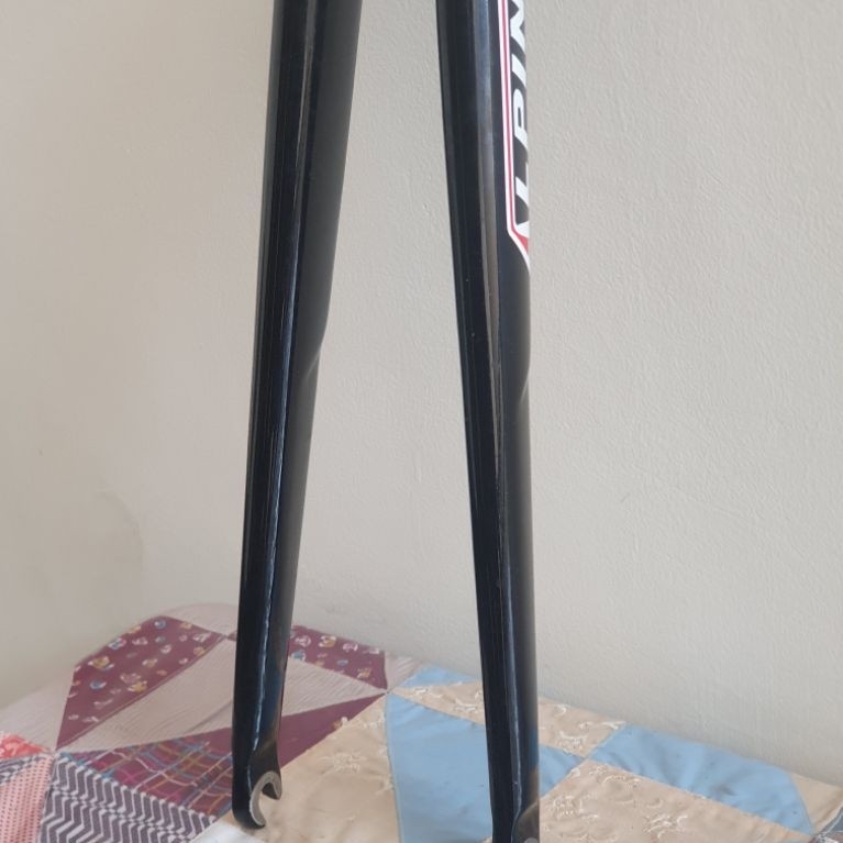 fork model alpina