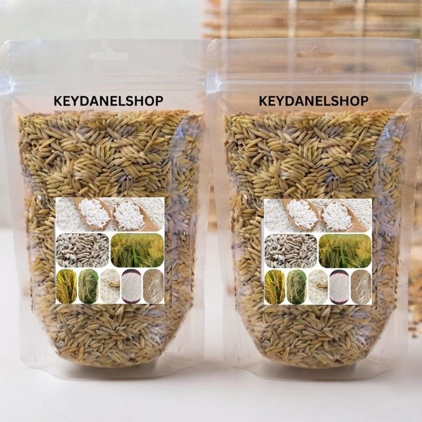 Benih ketan putih premium /padi ketan putih 1 kg