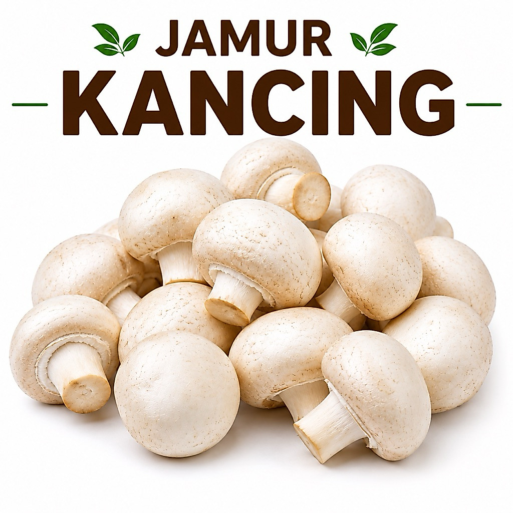 JAMUR KANCING 1KG