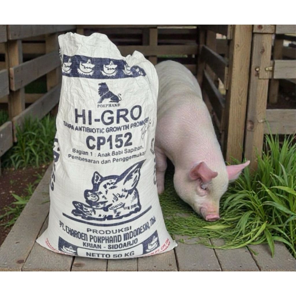 HI GRO CP152 KONSENTRAT BABI ANAK SAPIHAN PAKAN HEWAN TERNAK 25 KG