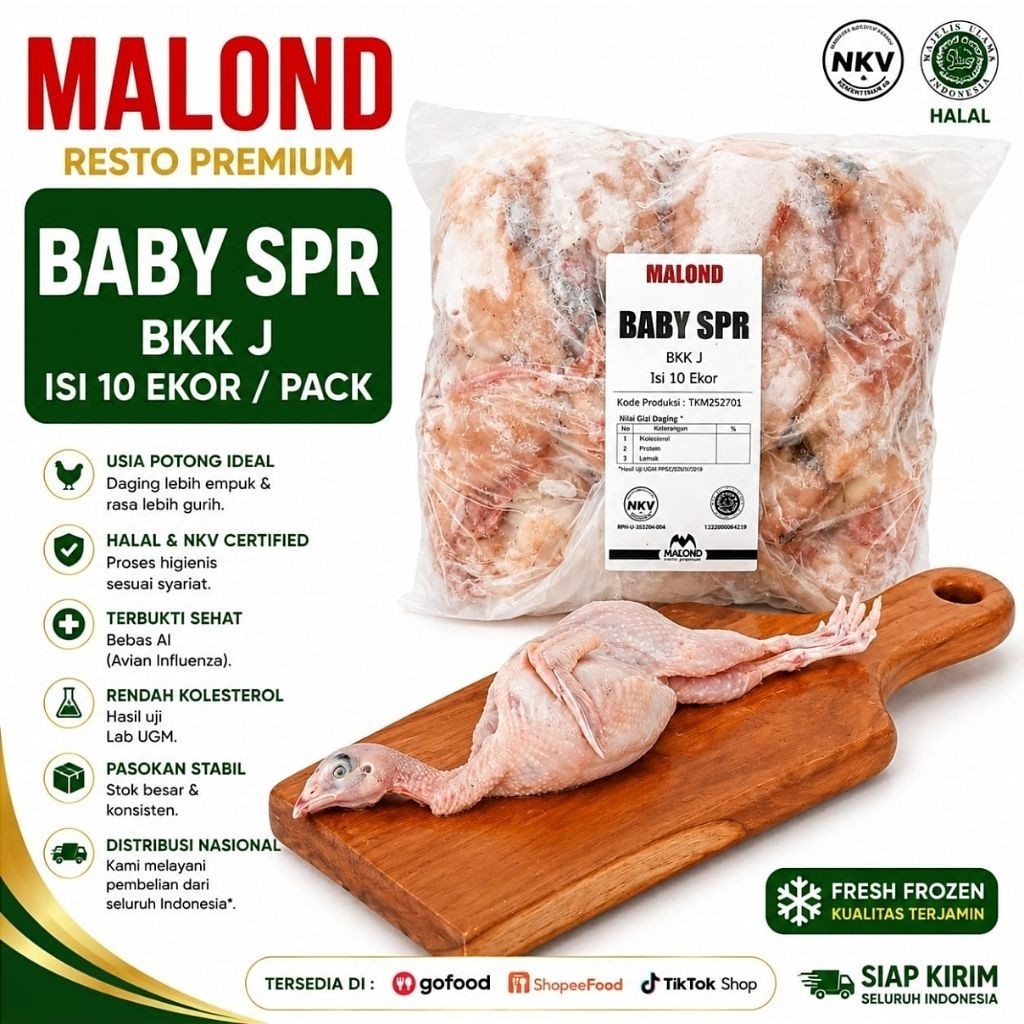 Puyuh Baby Malond SUPER