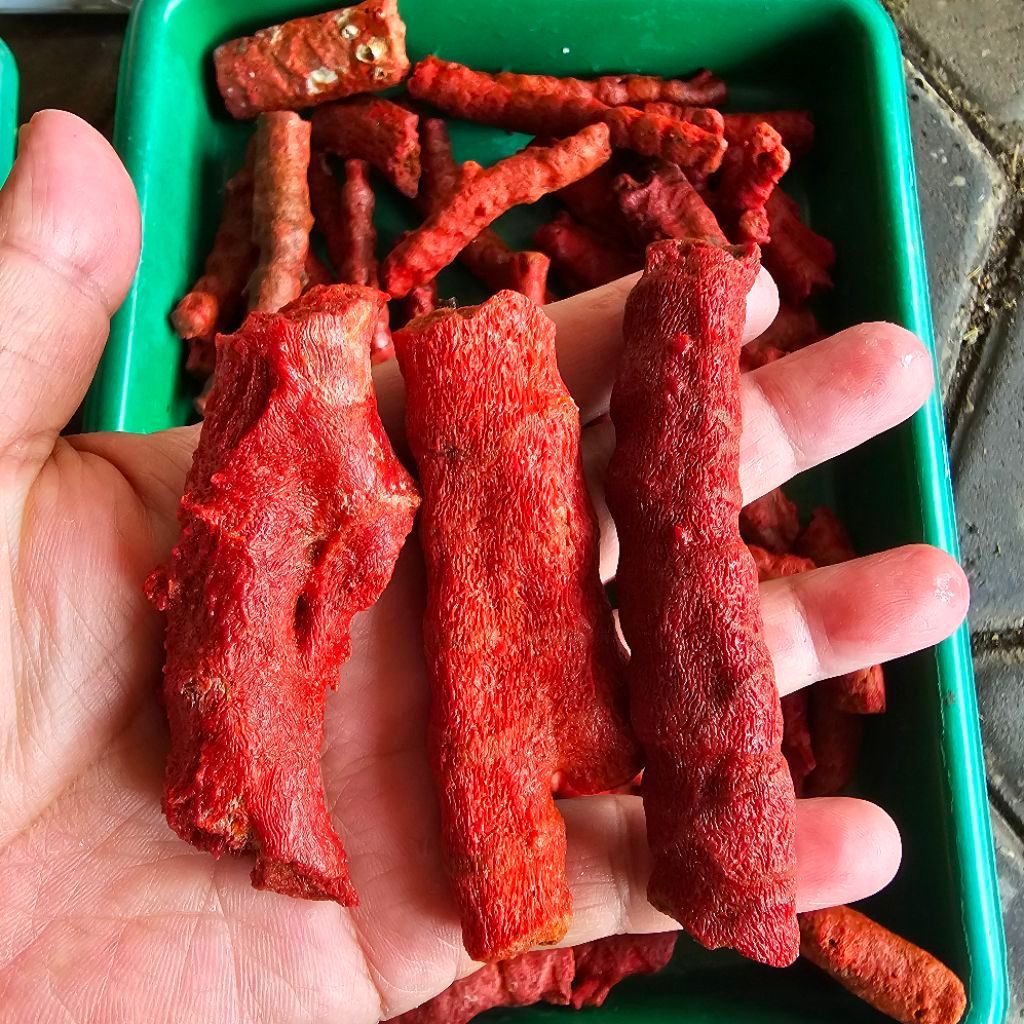 BATU MARJAN LOKAL ASLI ALAMI jual per 100 Gram