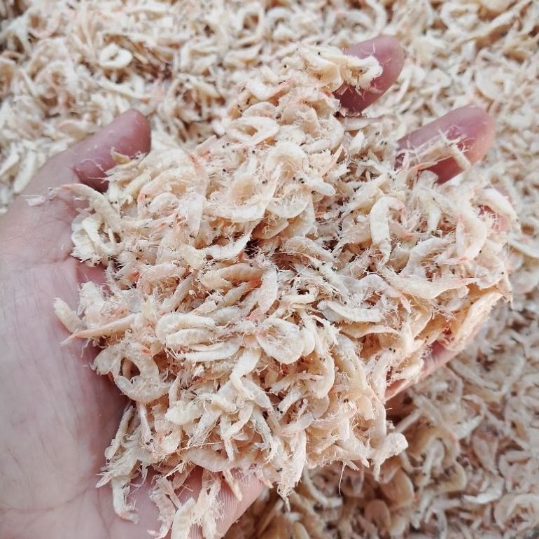 UDANG REBON ASIN KERING