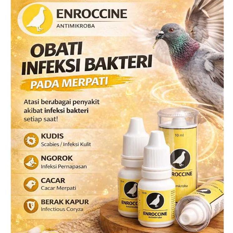 [BEST] ENROCCINE VITAREST OBAT BURUNG MERPATI BERAK HIJAU KAPUR NGOROK SNOT
