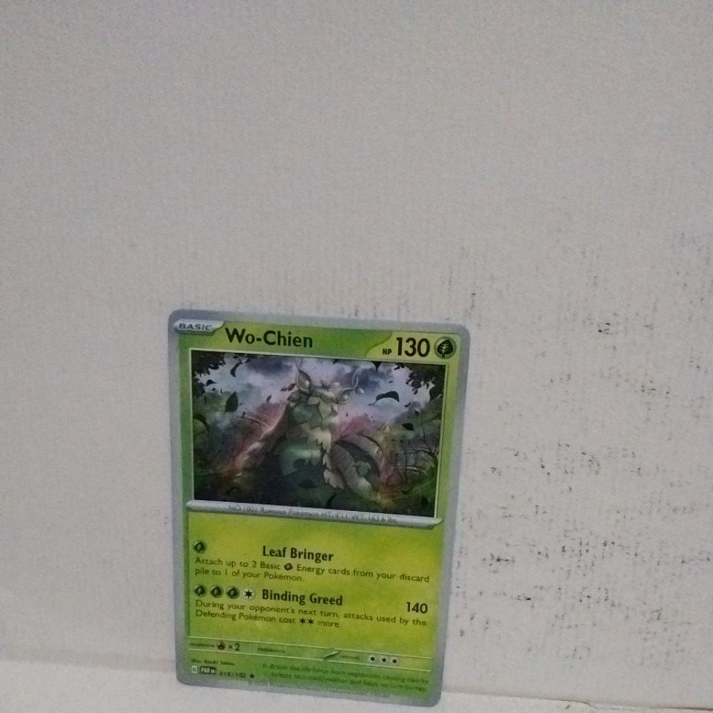 Paket Kartu Pokemon Wo-Chien