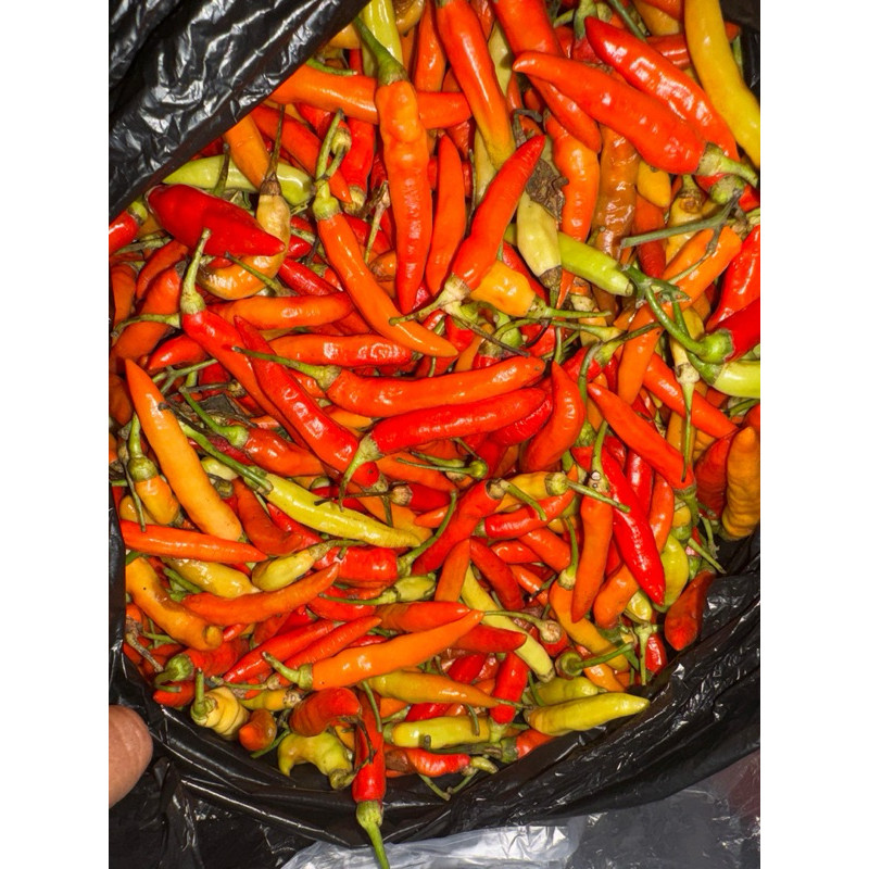 Cabe Rawit Merah 1 kg