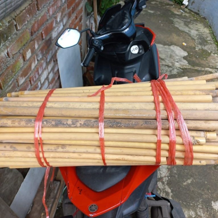 bambu Tamiang kering bahan layangan seruling