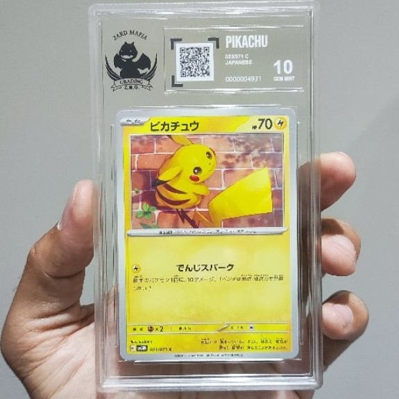 pikachu slab ZMG 10