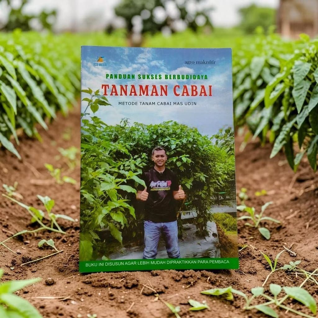 Panduan Sukses Berbudidaya Tanaman Cabai Buku : Metode Mas Udin