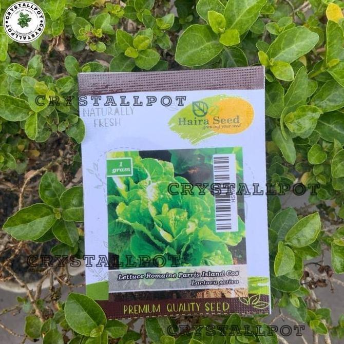Promo Benih Bibit Selada Green Romaine Parris Island Cos Haira Seed - SELADA PARRIS ISLAND COS Disko