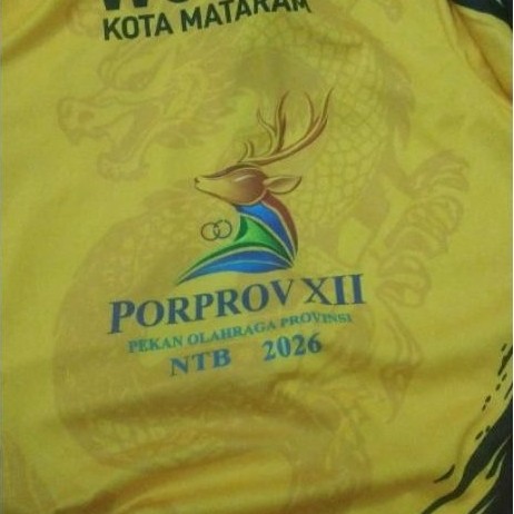 baju wushu