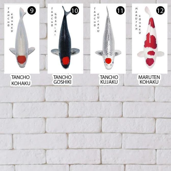 Core- Hiasan Dinding Ikan Koi Lukisan Tancho Kohaku Maruten Goromo