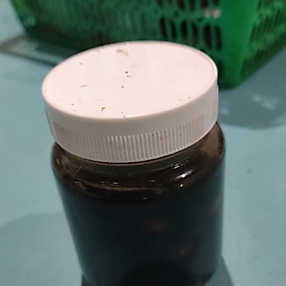 Madu Fermentasi Bawang Lanang