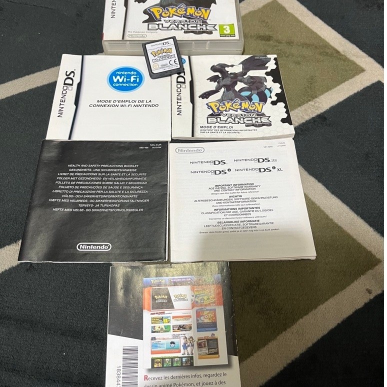 kaset nds pokemon blanche