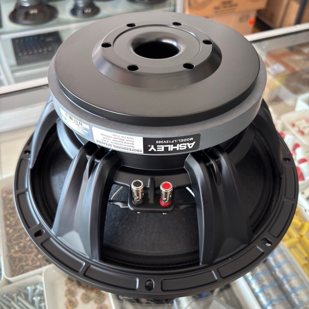 Speaker 12 Inch ASHLEY LF12V300 Original