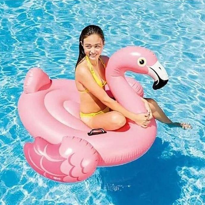 Pelampung Bebek Angsa Intex Original Ride On Swan Pelampung Flamingo