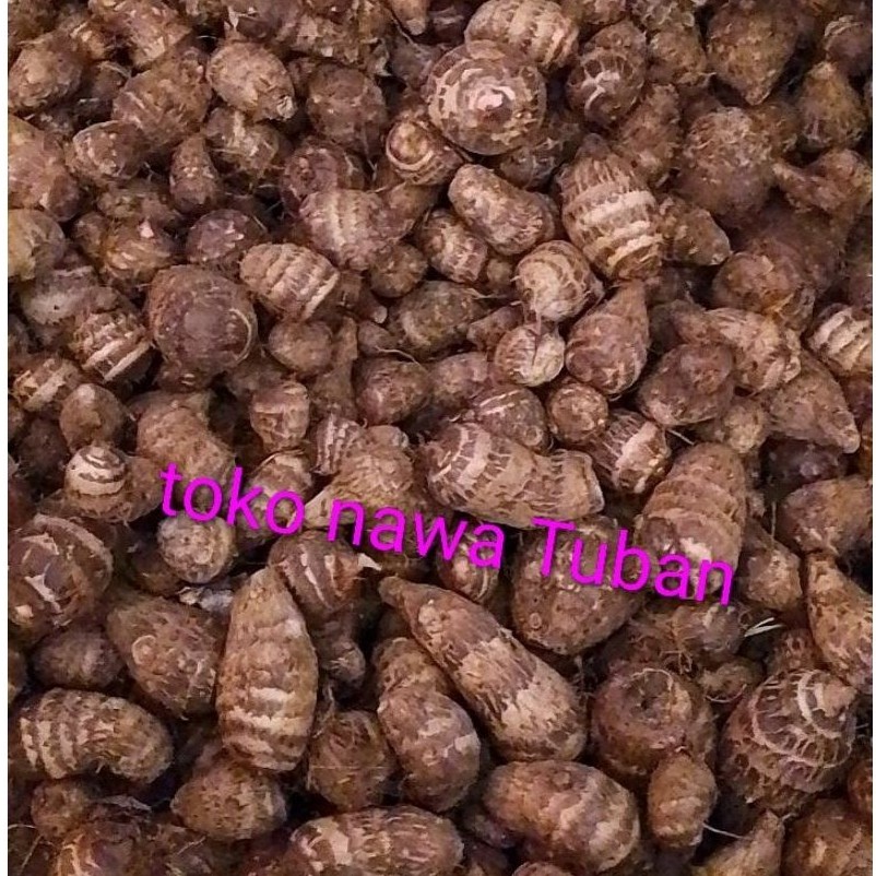 umbi talas satoimo, polopendem, makanan sehat