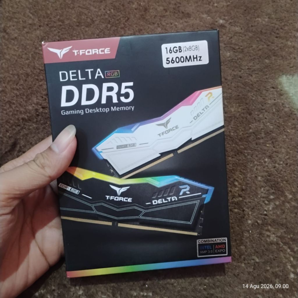 Ram T force Delta 16Gb ddr5 5600 mhz