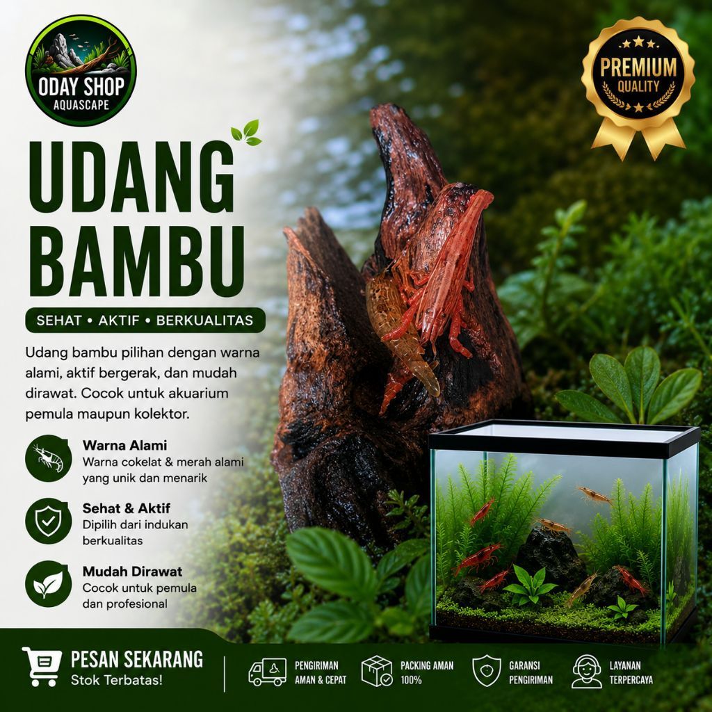 hiasan/dekorasi akuarium udang bambu/bamboo shrimp aquascape