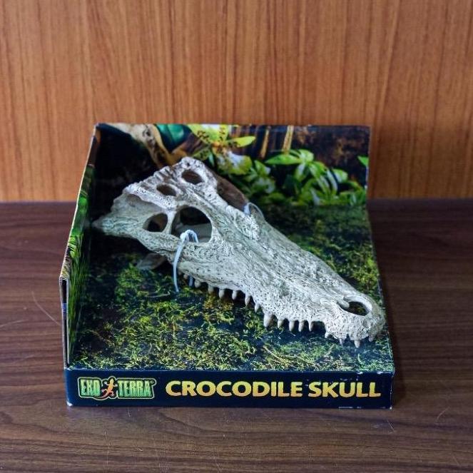Crocodile Skull Exoterra / hiding cave reptil / hiasan kandang terrarium reptil