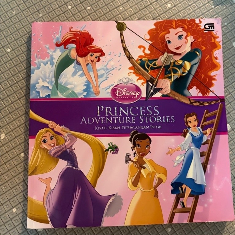 Buku Disney Princess