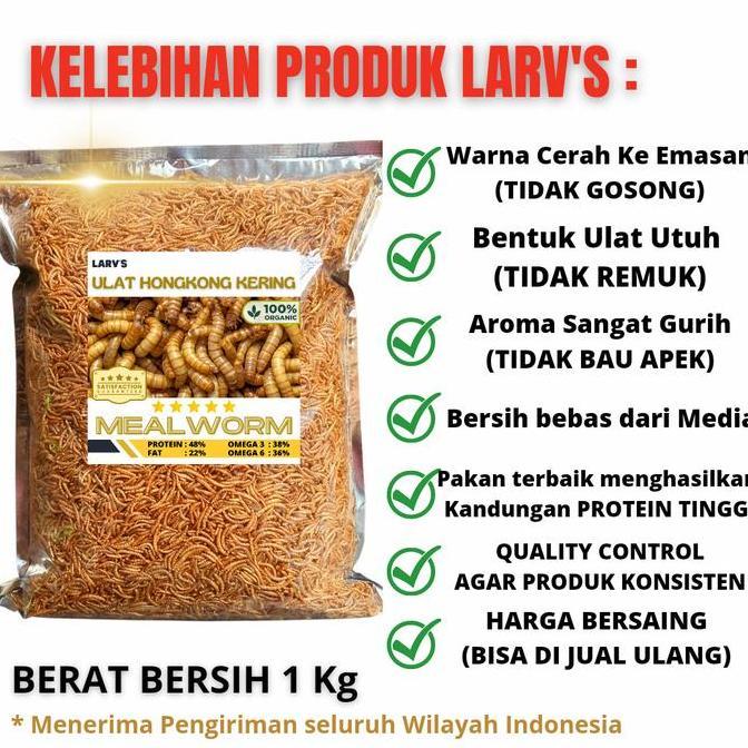 Ulat Hongkong Kering 1 Kg SNACK HEWAN PELIHARAAN
