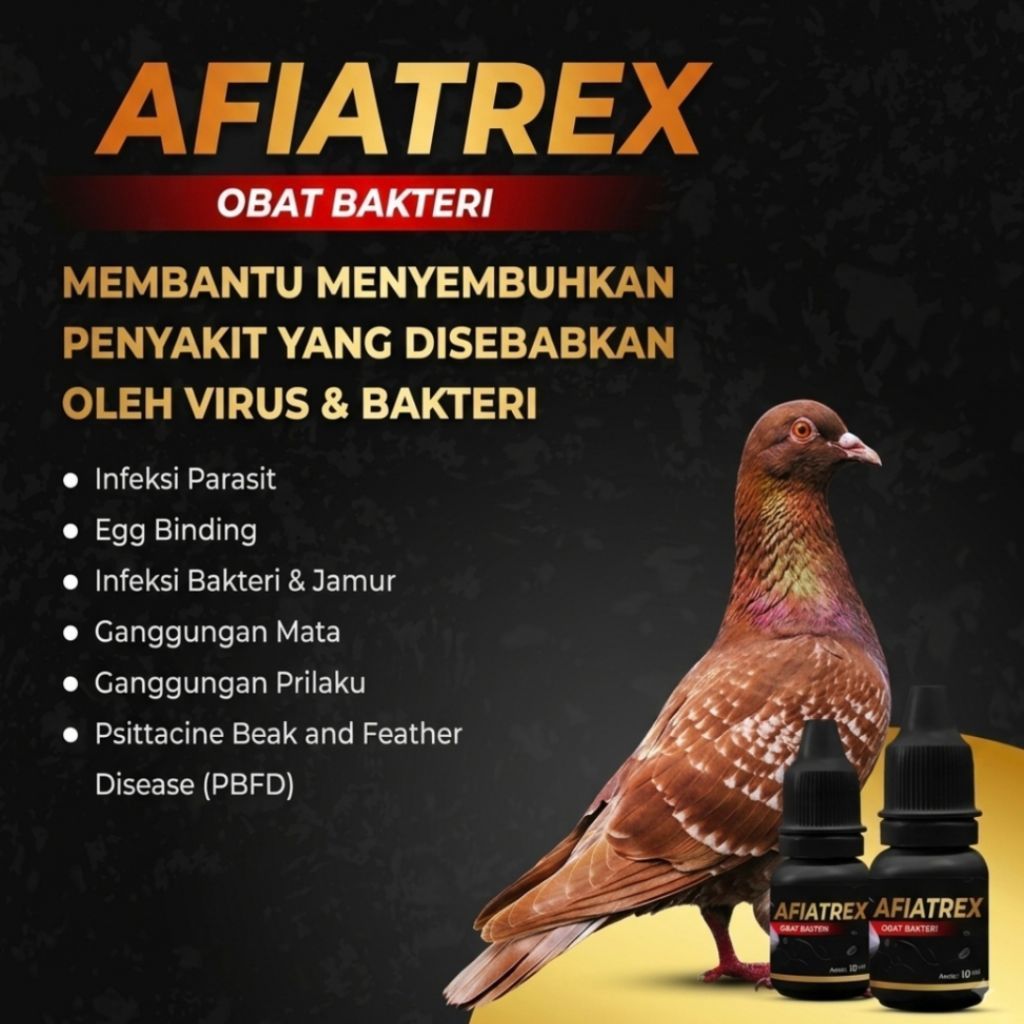 AFIATREX OBAT BURUNG MERPATI MENGOBATI BAKTERI DAN VIRUS BURUNG MERPATI PERNAPASAN MERPATI