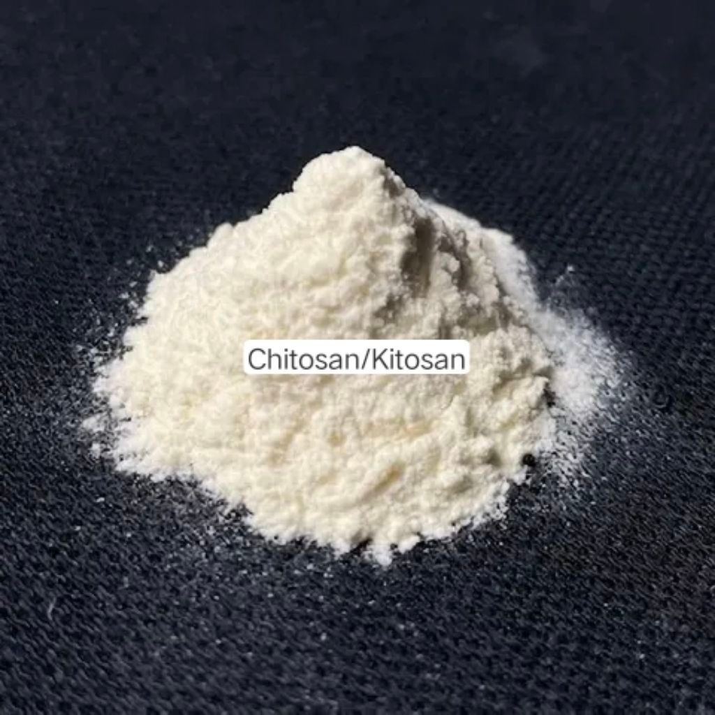 Chitosan/Kitosan serbuk