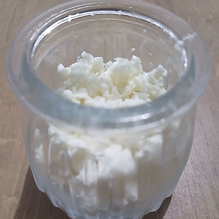 Bibit Kefir (Kefir Grains) Berat 50 gr