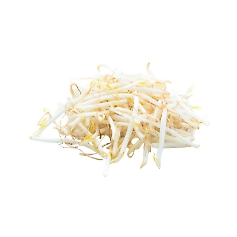 tauge bangkok 500grm/1kg