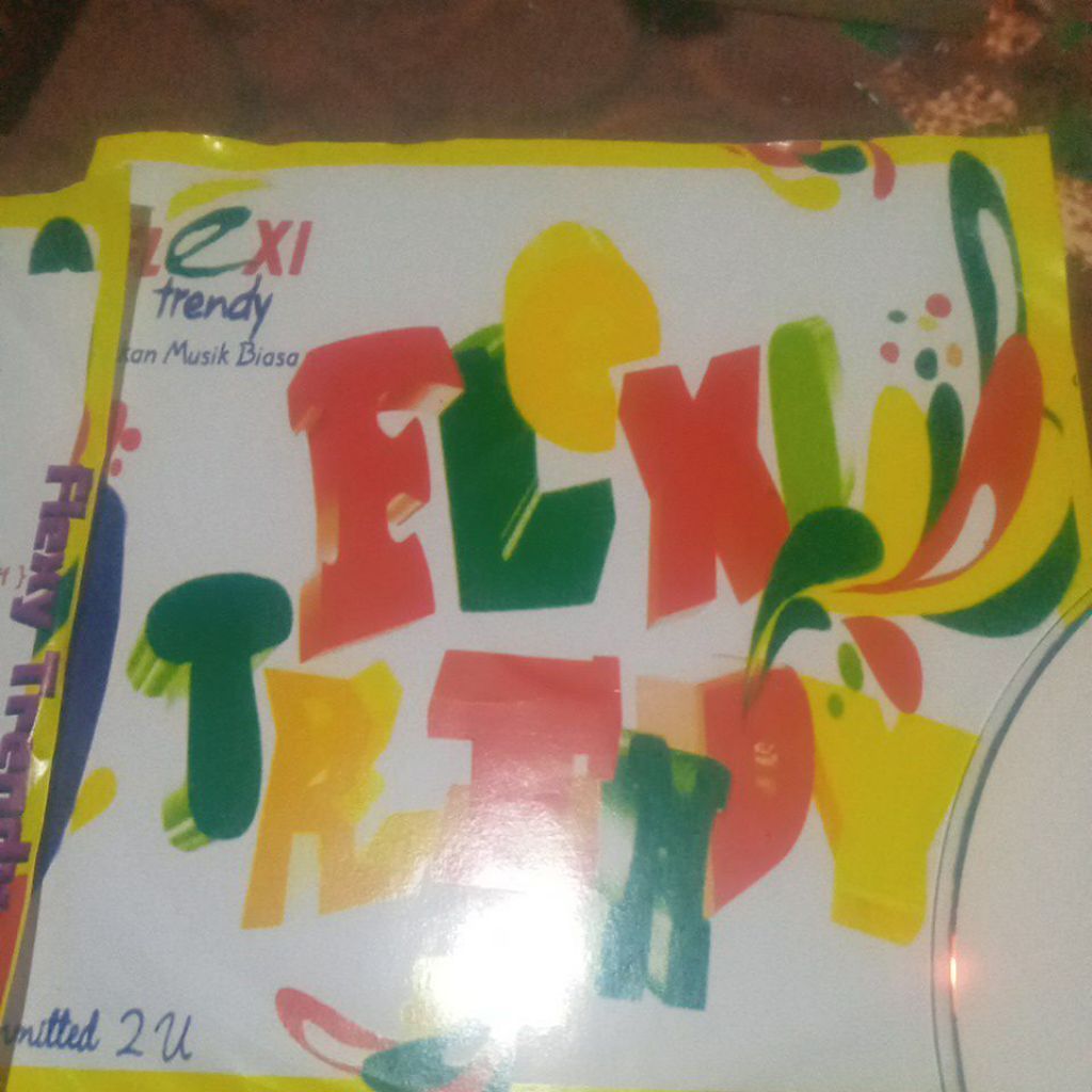 CD AUDIO FLEXI TRENDY PP-13