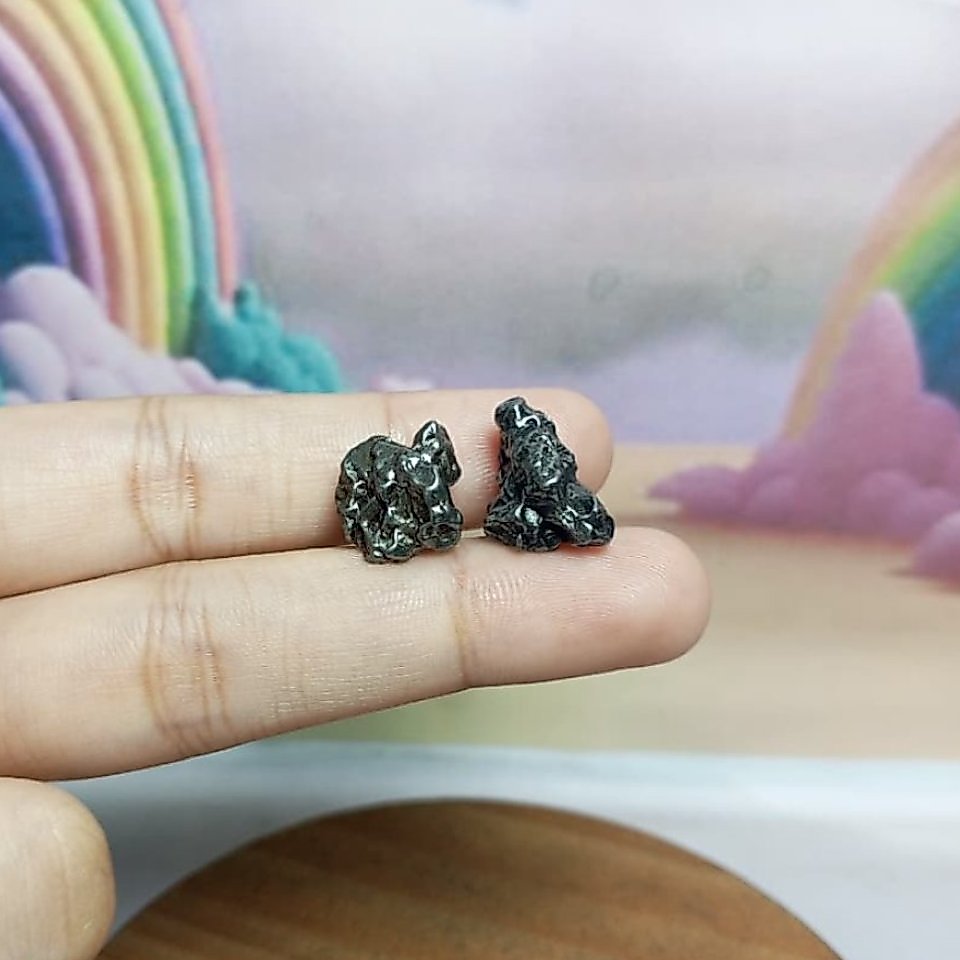Batu Meteorite Campo Del Cielo Paket (5) Asli meteorite